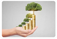 Suite of Funds