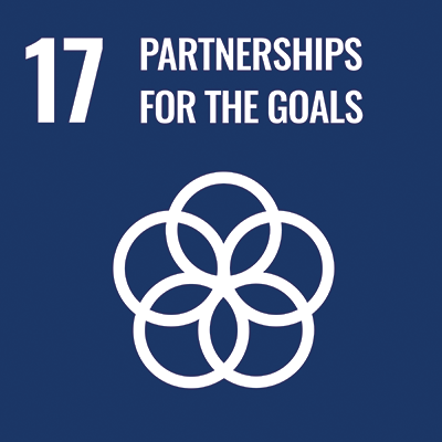SDG Goal icon