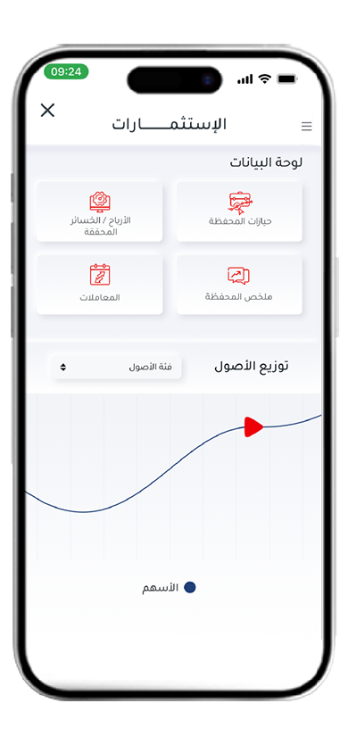 الاستثمارات