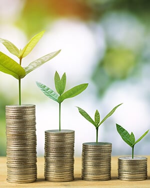 Understanding the basics of investing